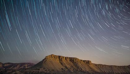 广州对比佛山，哪座城市更懂得品茶？