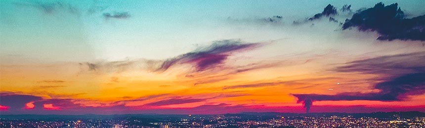 自贡茶虫网_自贡品茶